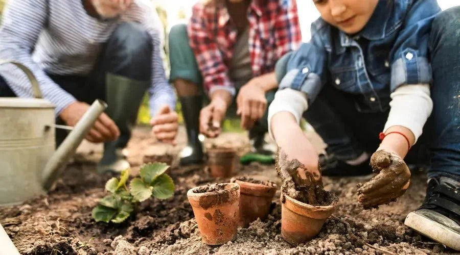 Rückblick 2023: Die Top 9 Gartenhelfer von SHW-FIRE, die Deinen Garten verzaubert haben - SHW-FIRE
