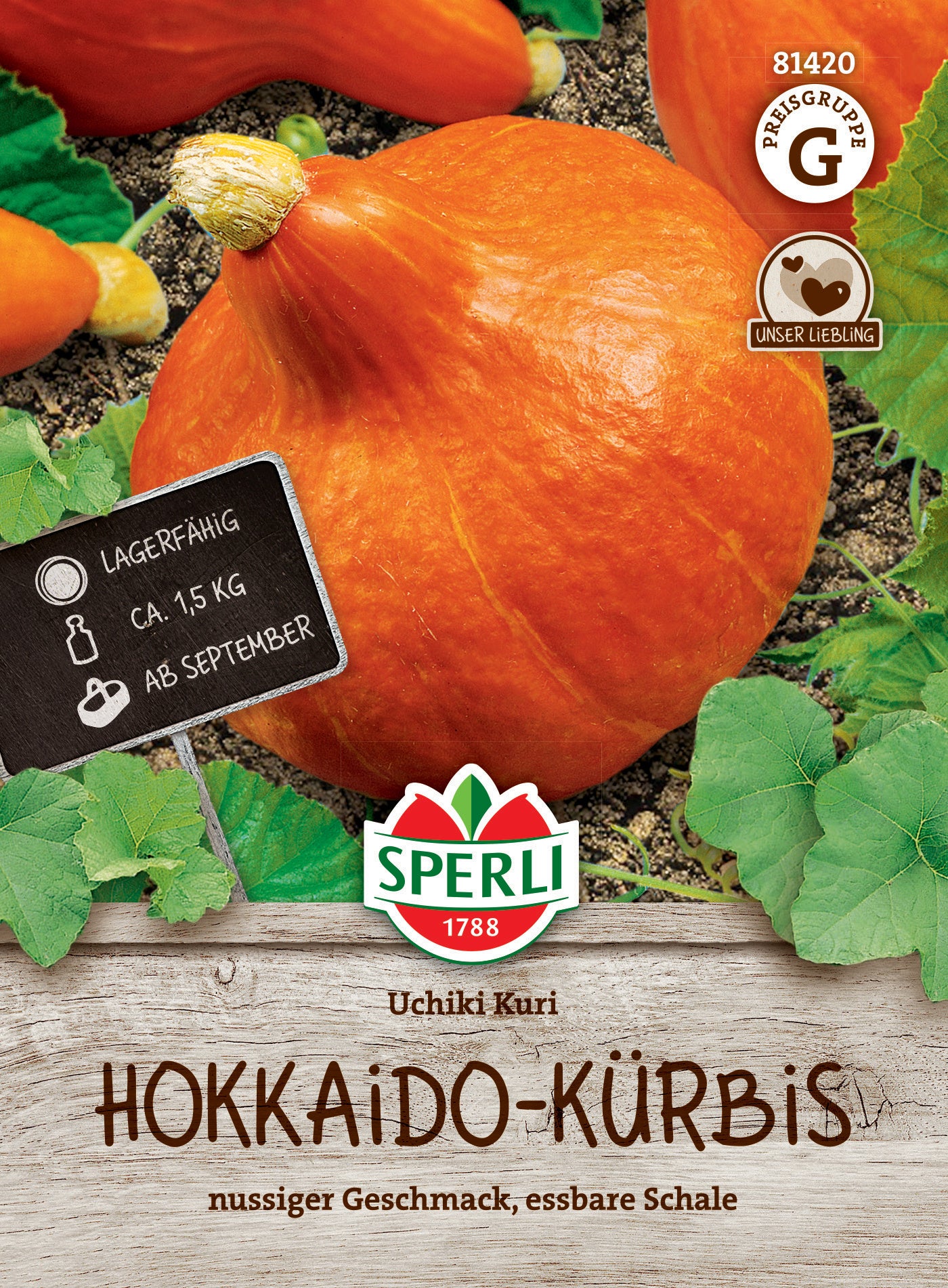 Kürbissamen Uchiki Kuri