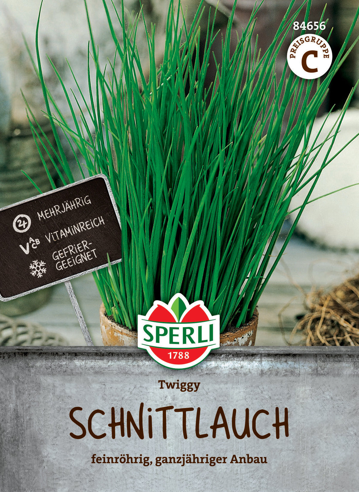 Schnittlauchsamen Twiggy