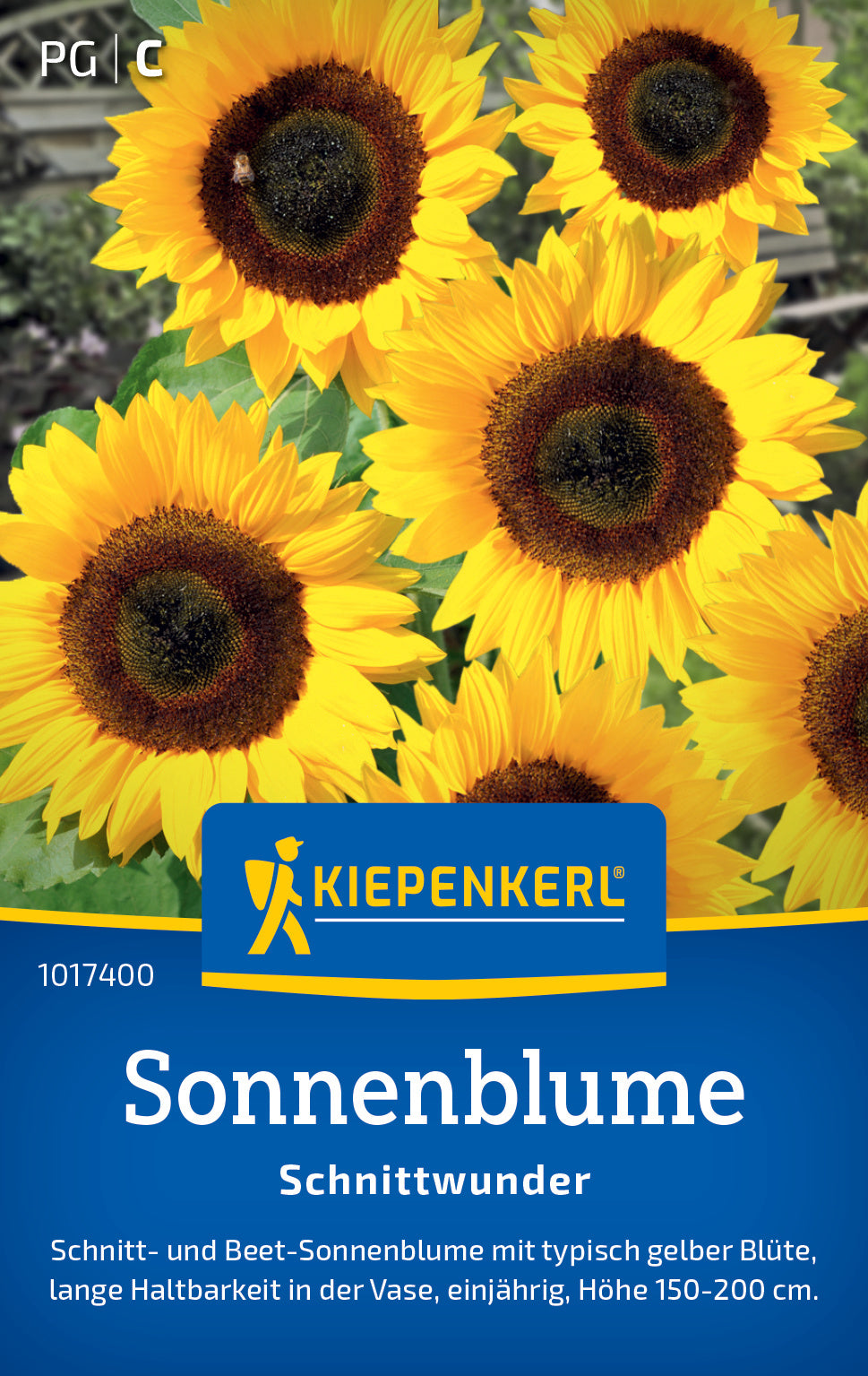 Sonnenblumensamen Schnittwunder