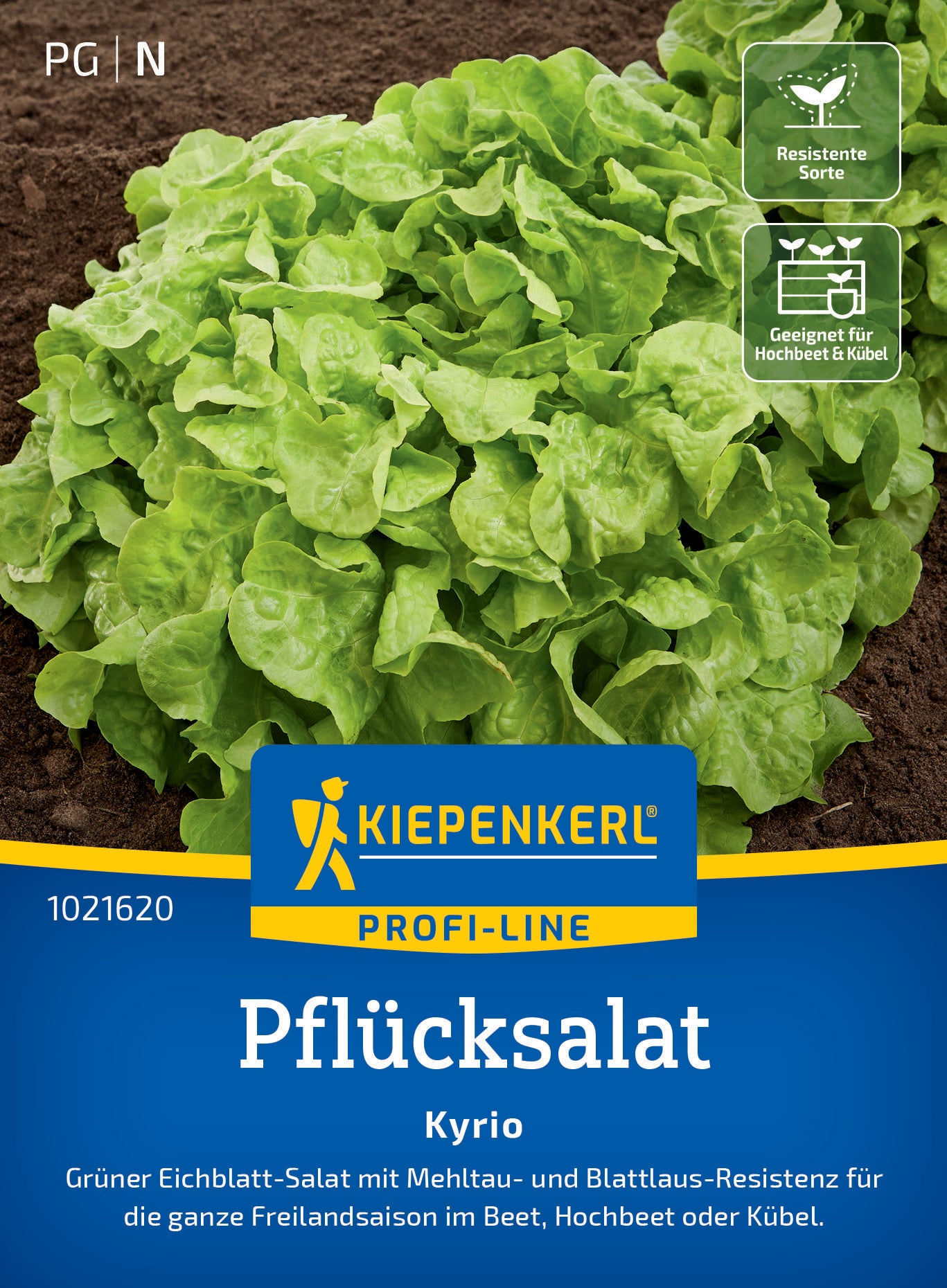 Pflücksalatsamen Kyrio