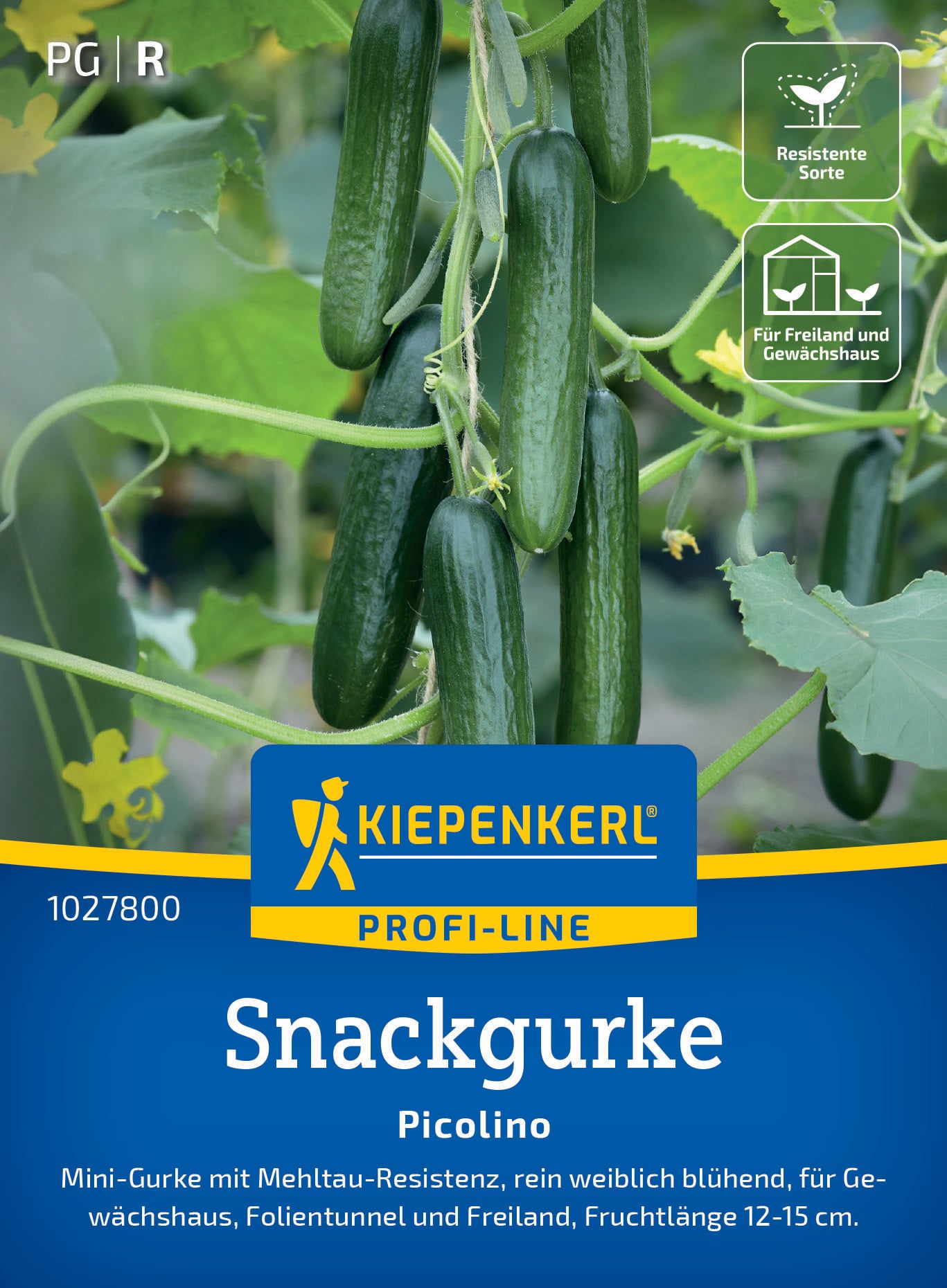 Snackgurkensamen Picolino, F1