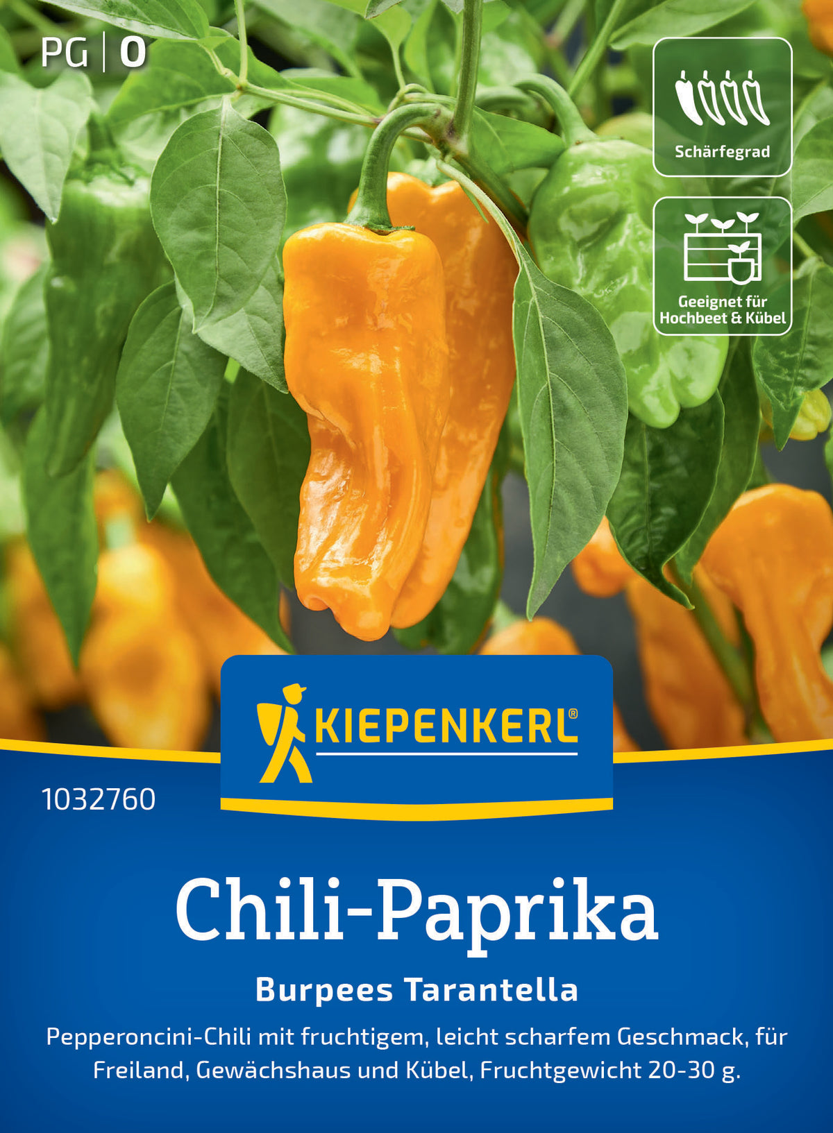 Chili-Paprikasamen Burpees Tarantella