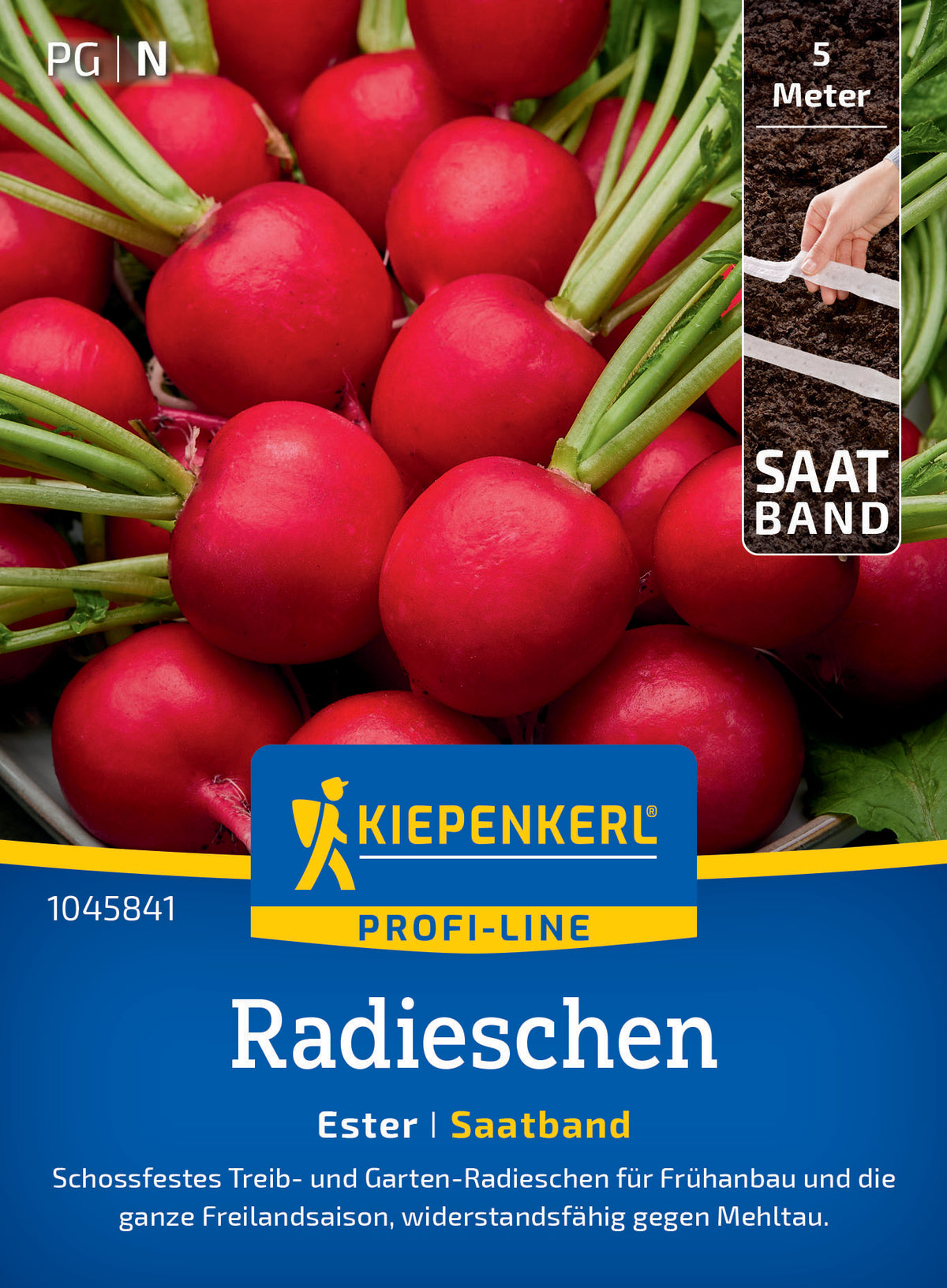 Radieschensamen Ester, Saatband