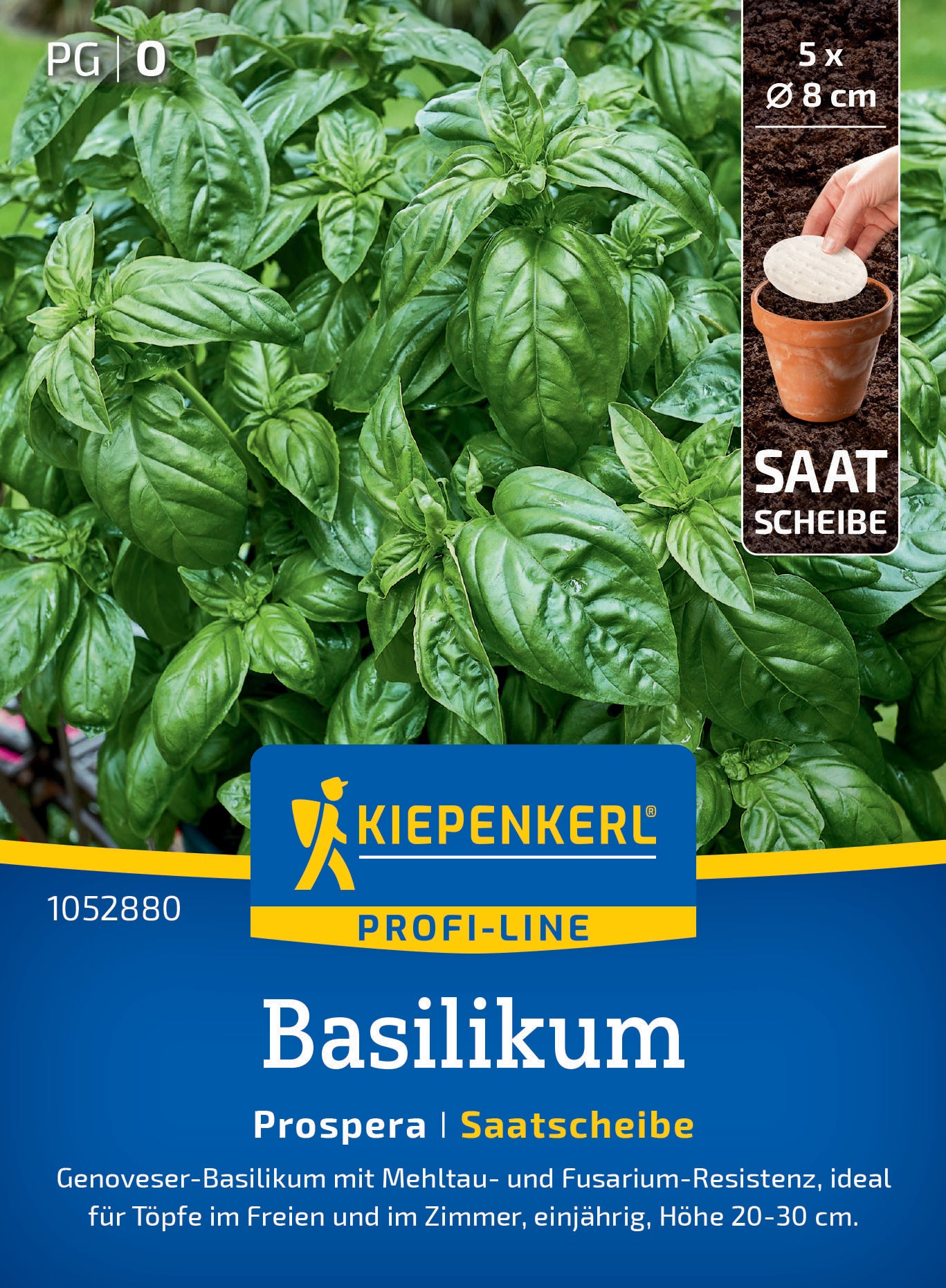 Basilikumsamen Prospera, F1, Saatscheibe
