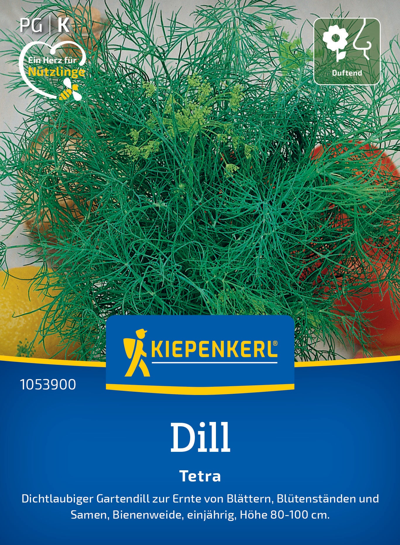 Dillsamen Tetra
