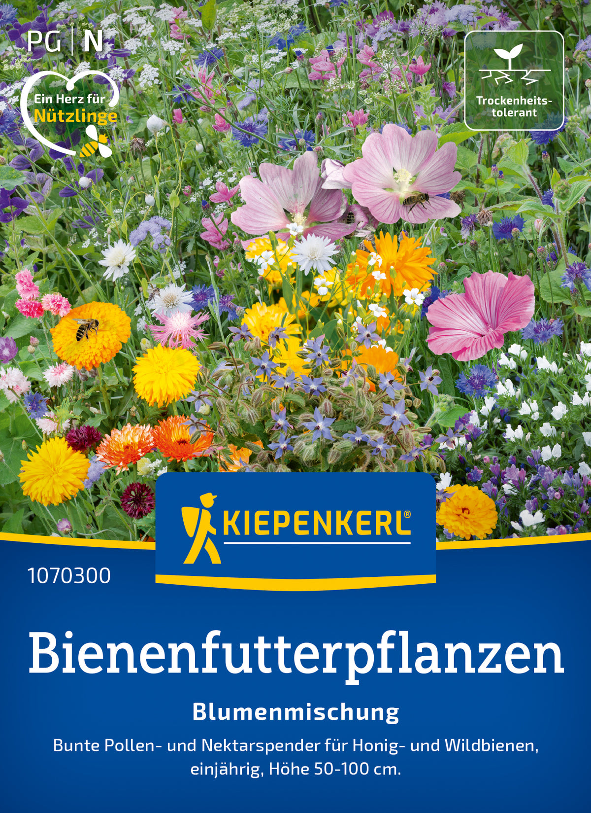 Blumensamen-Mischung Einjährige Bienenfutterpflanzen
