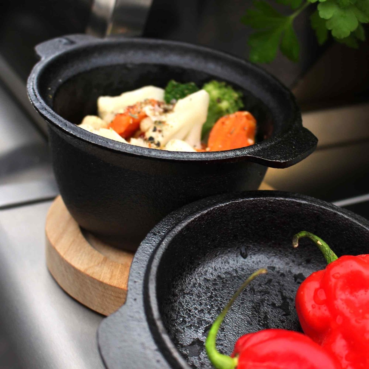ALLGRILL 2in1 Gusseisen Topf und Pfanne mit 2 Griffen - SHW - FIRE