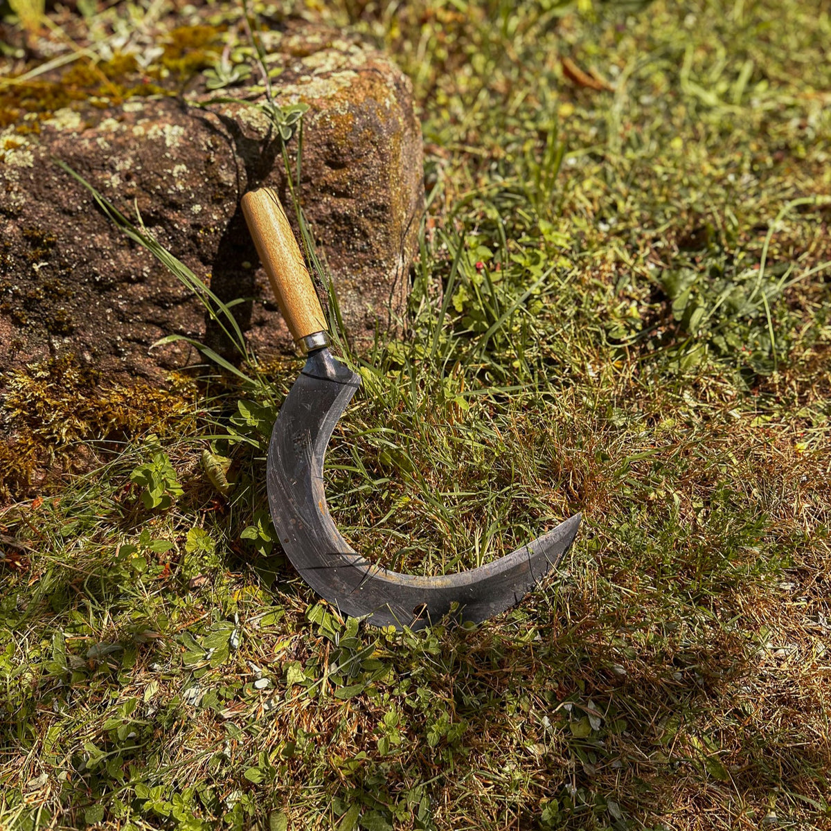 SHW Blattsichel mit gebogenem Stahlblatt und kurzem Holzgriff auf einer Wiese neben einer Natursteinmauer. Handsichel zum Schneiden von Gras, Wildkräutern und Pflanzen im Garten.