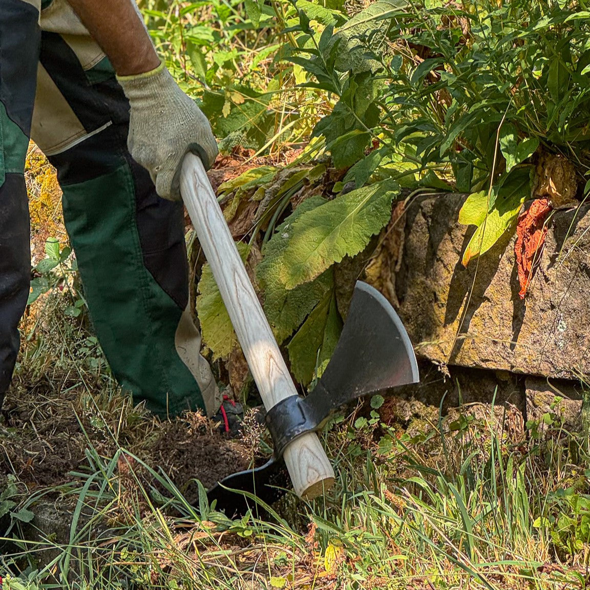 Gärtner bearbeitet mit der SHW Wiedehopfhacke und ihrem breiten Hackenblatt den Gartenboden neben einer Natursteinmauer. Die Hacke mit Holzstiel eignet sich zum Aufbrechen fester Erde.
