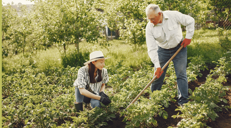 Ergonomie im Garten: Wie SHW-FIRE Geräte Deine Gartenarbeit revolutionieren - SHW-FIRE