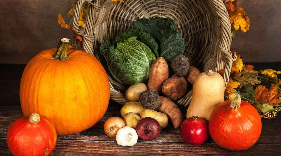 Herbstgemüse: Pflanz- und Pflegetipps für deine späte Ernte - SHW-FIRE