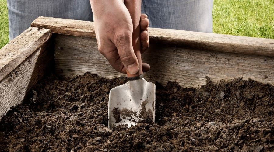 Hochbeet – was wird gepflanzt? Die besten Tipps für jede Saison - SHW-FIRE
