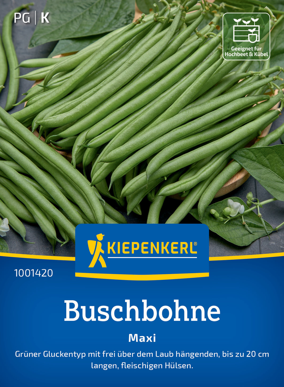 Buschbohnensamen Maxi