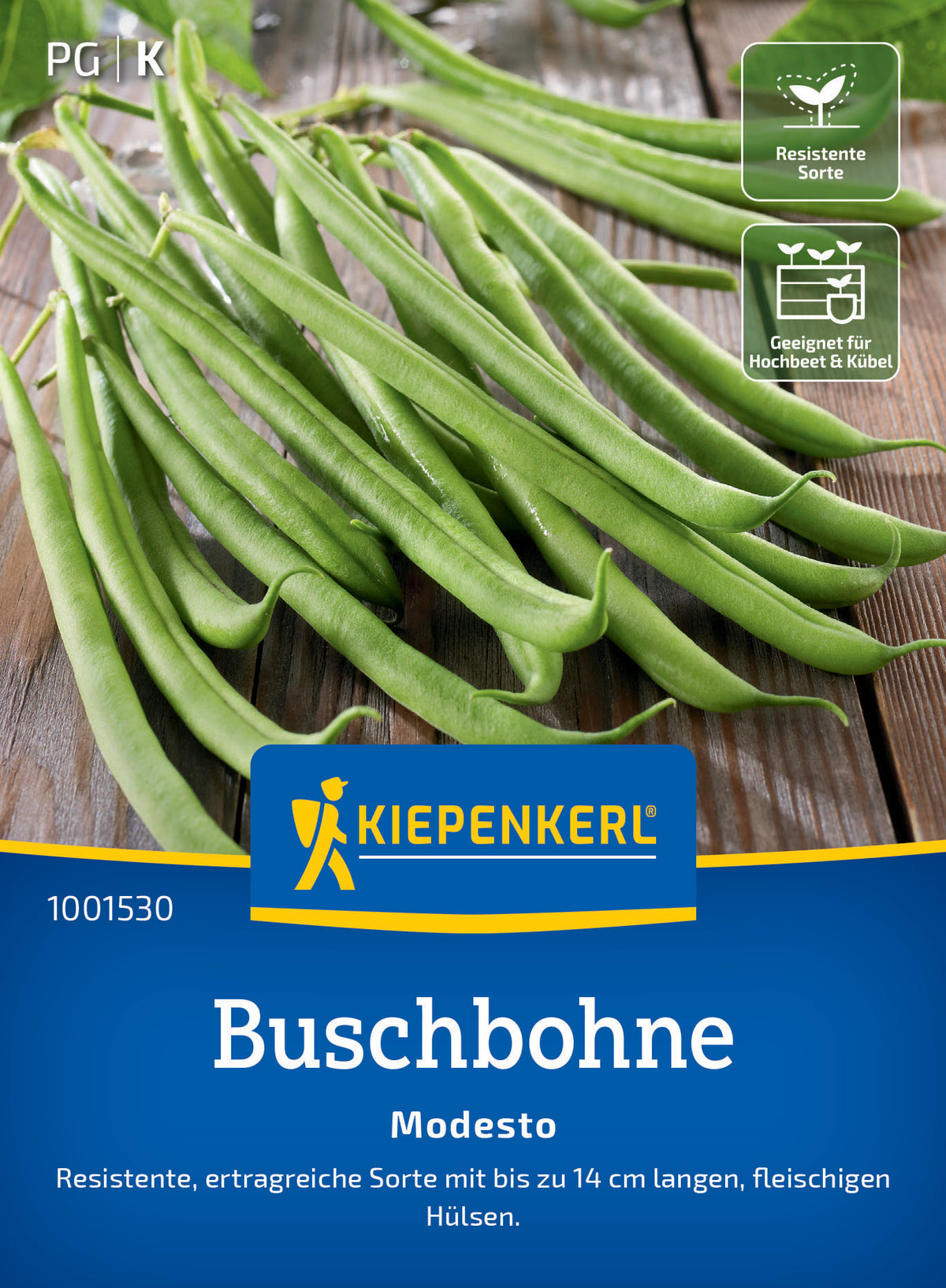 Buschbohnensamen Modesto