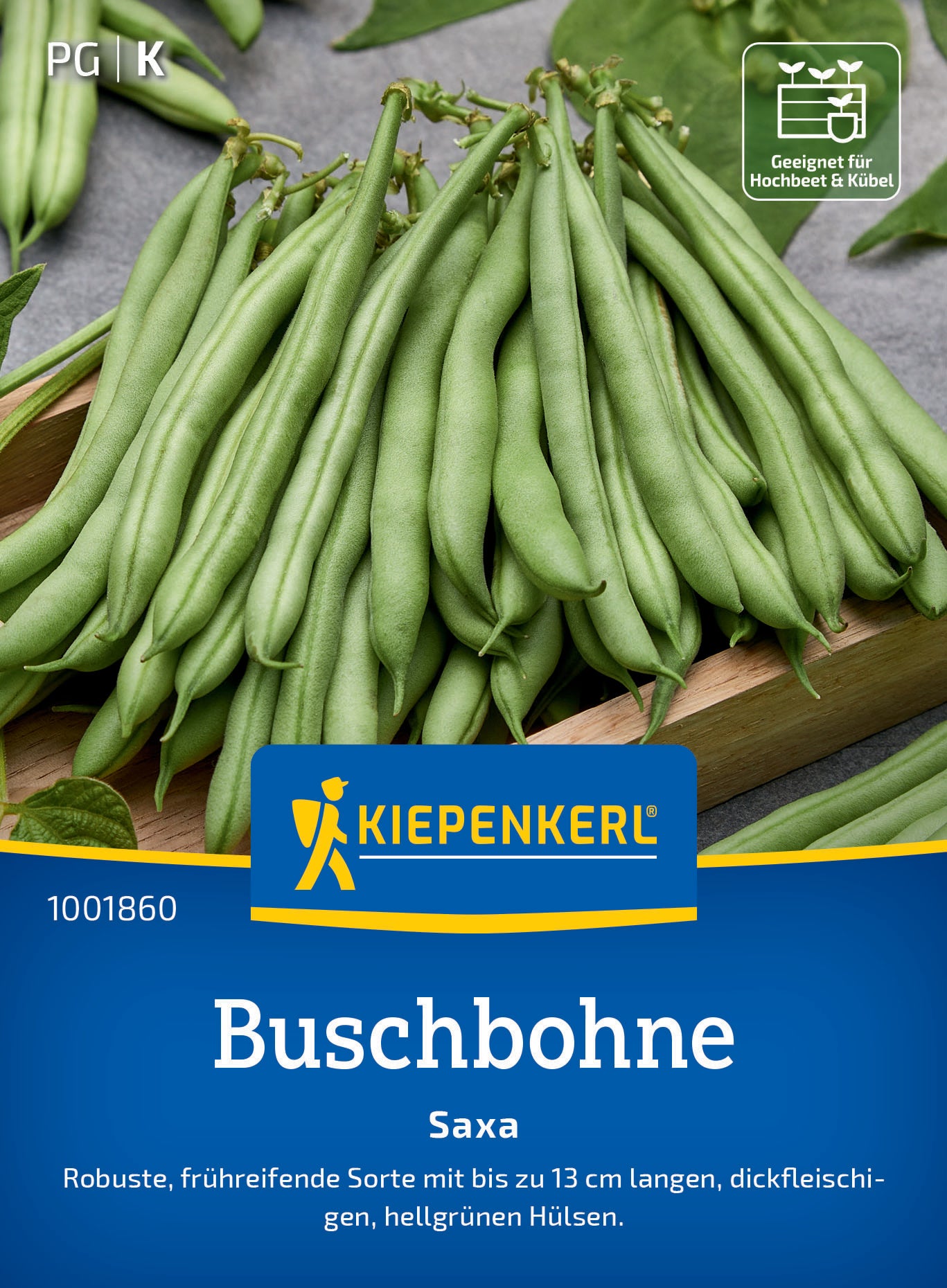 Buschbohnensamen Saxa