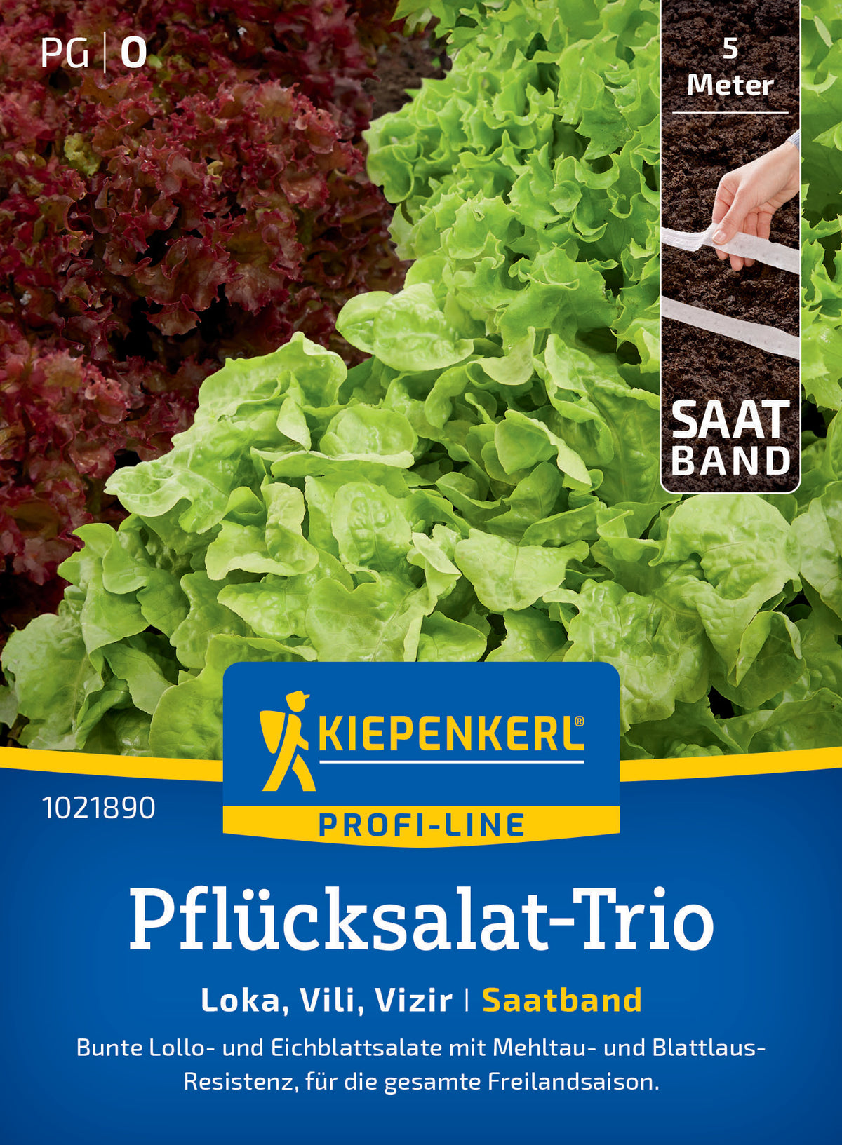 Pflücksalatsamen-Trio Loka, Vili, Vizir, Saatband