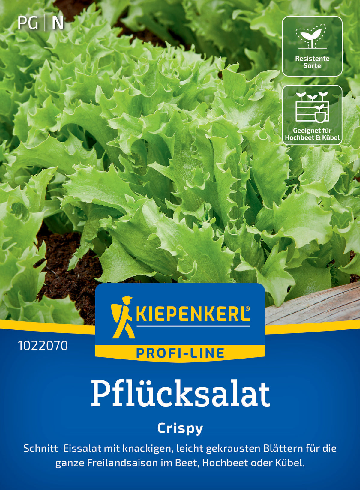 Pflücksalatsamen Crispy