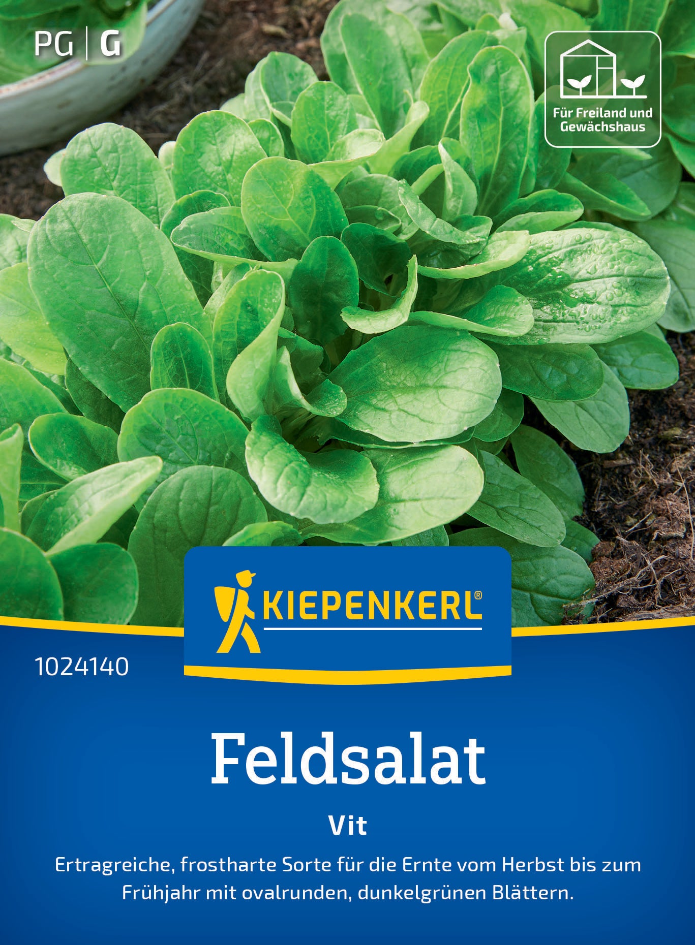 Feldsalatsamen Vit