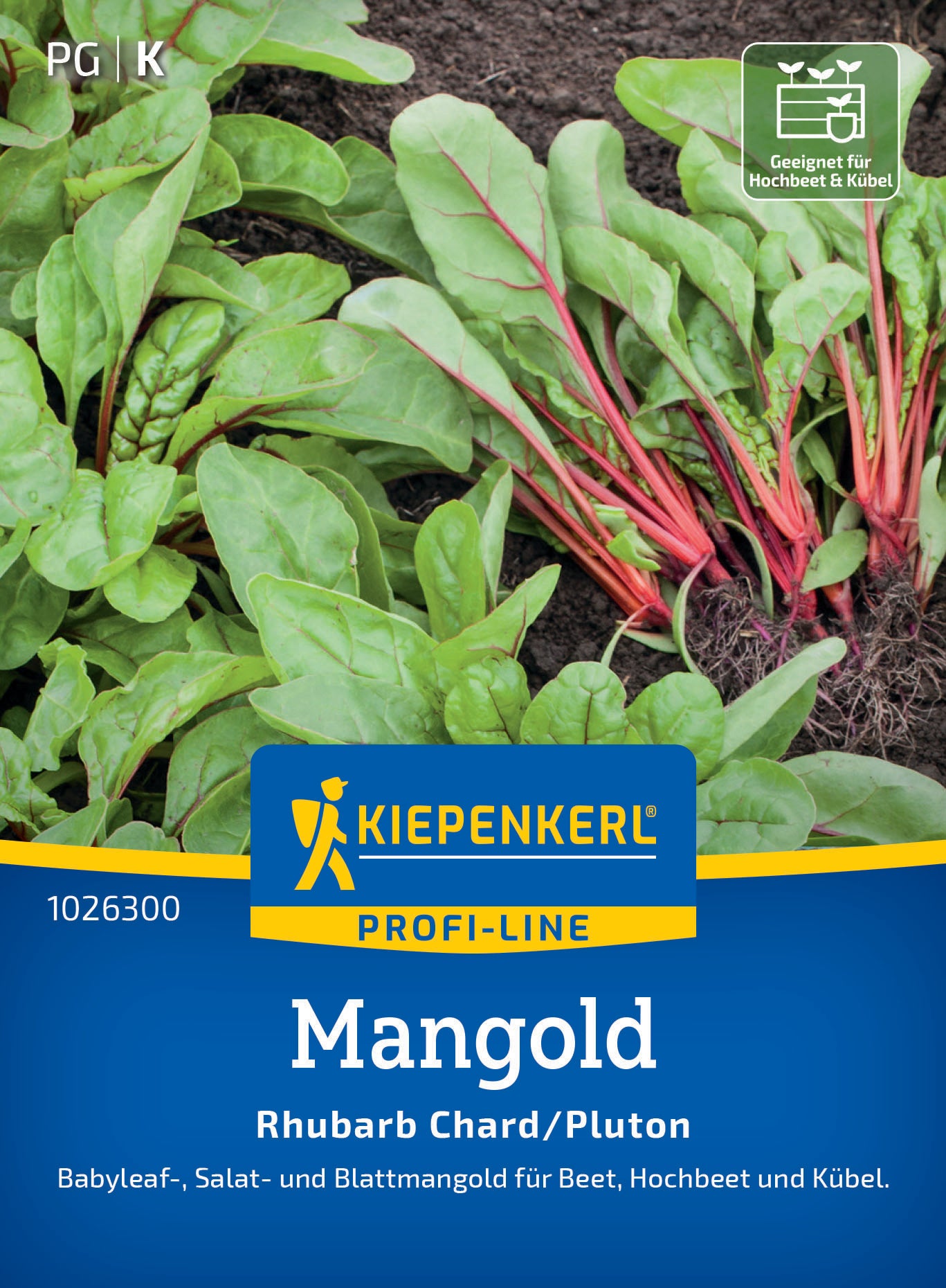 Mangoldsamen Rhubarb Chard/Pluton
