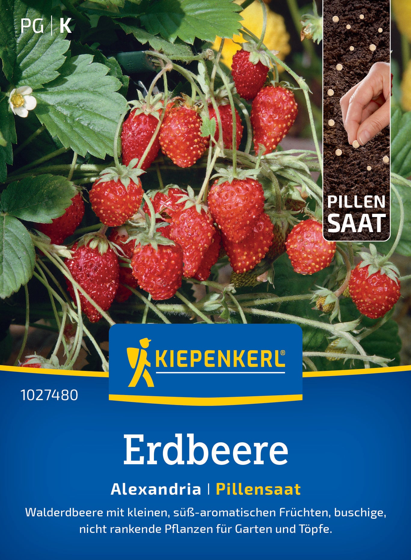 Erdbeersamen Alexandria, Pillensaat