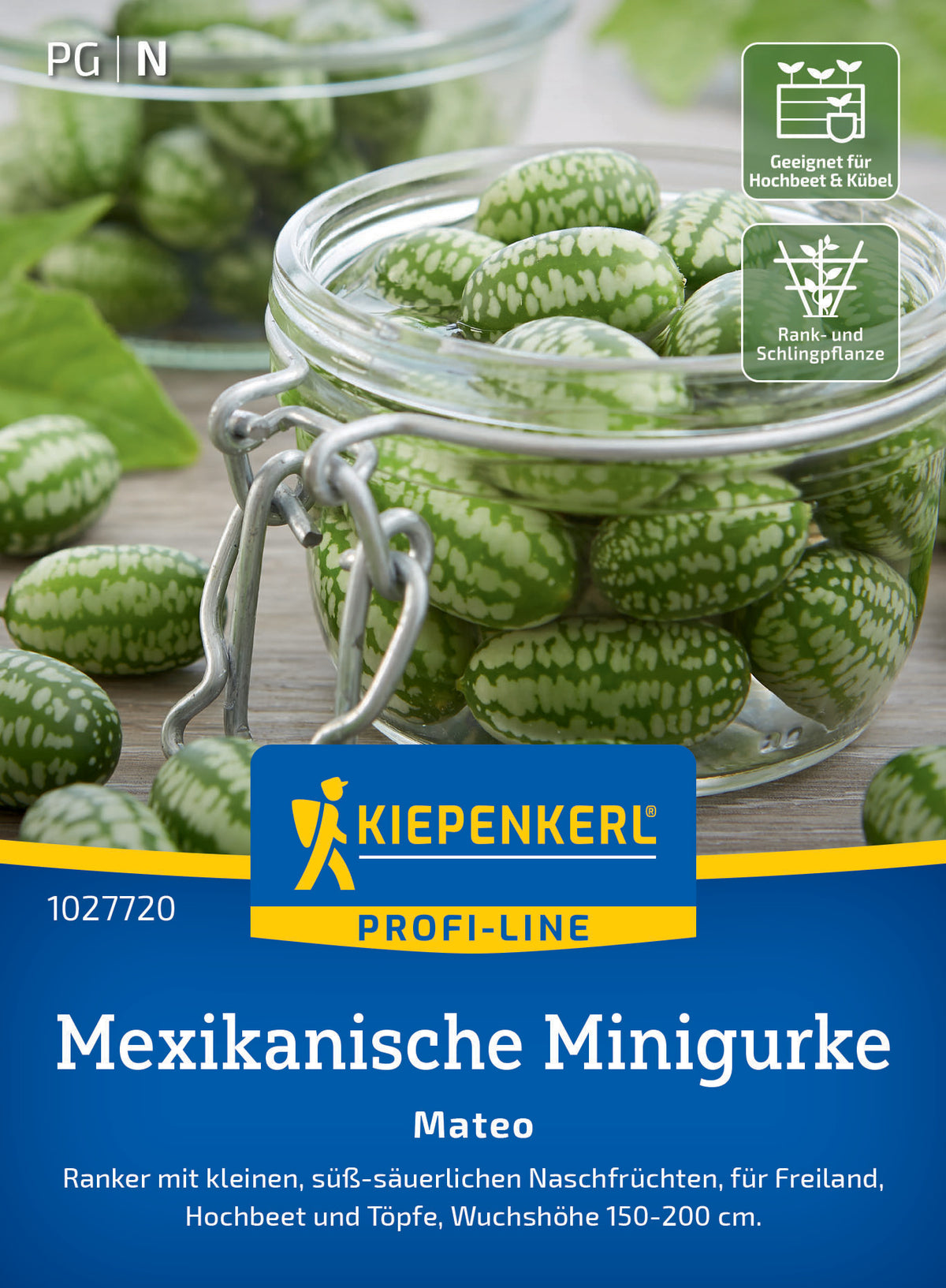 Mexikanische Minigurkensamen Mateo