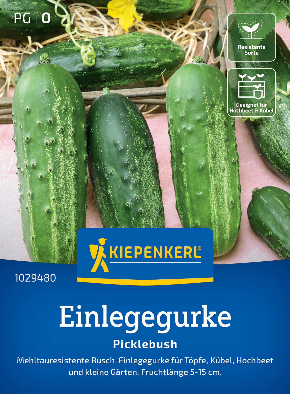 Einlegegurkensamen Picklebush