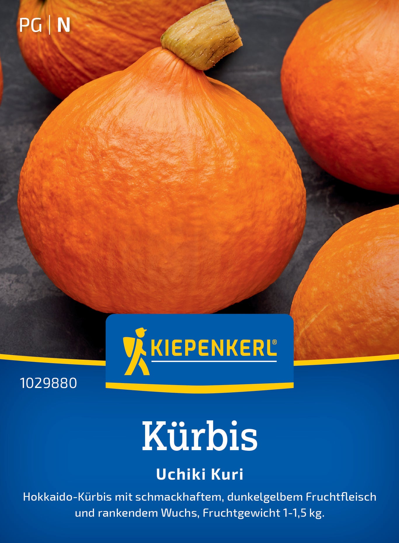 Kürbissamen Uchiki Kuri