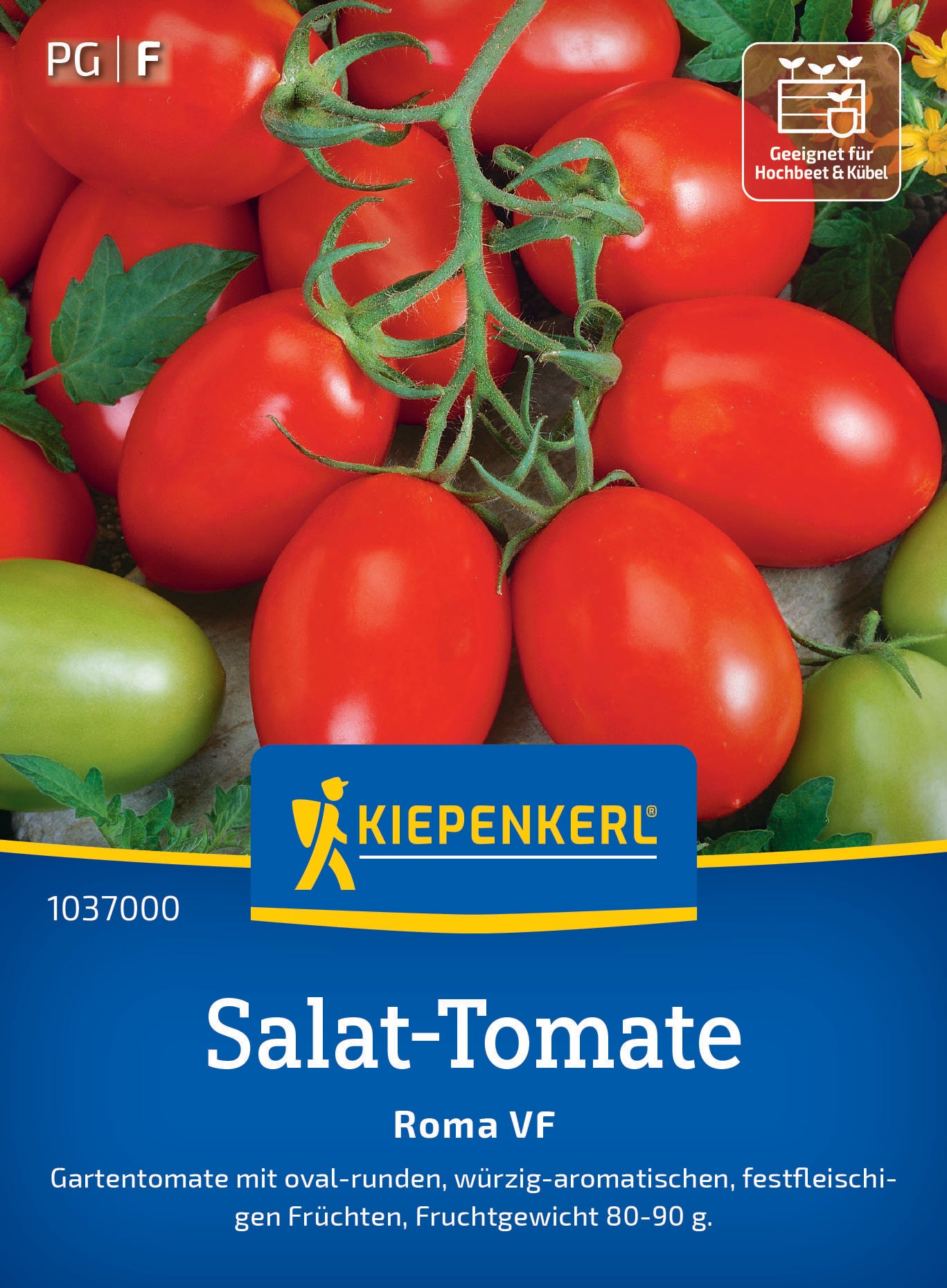 Salat-Tomatensamen Roma VF