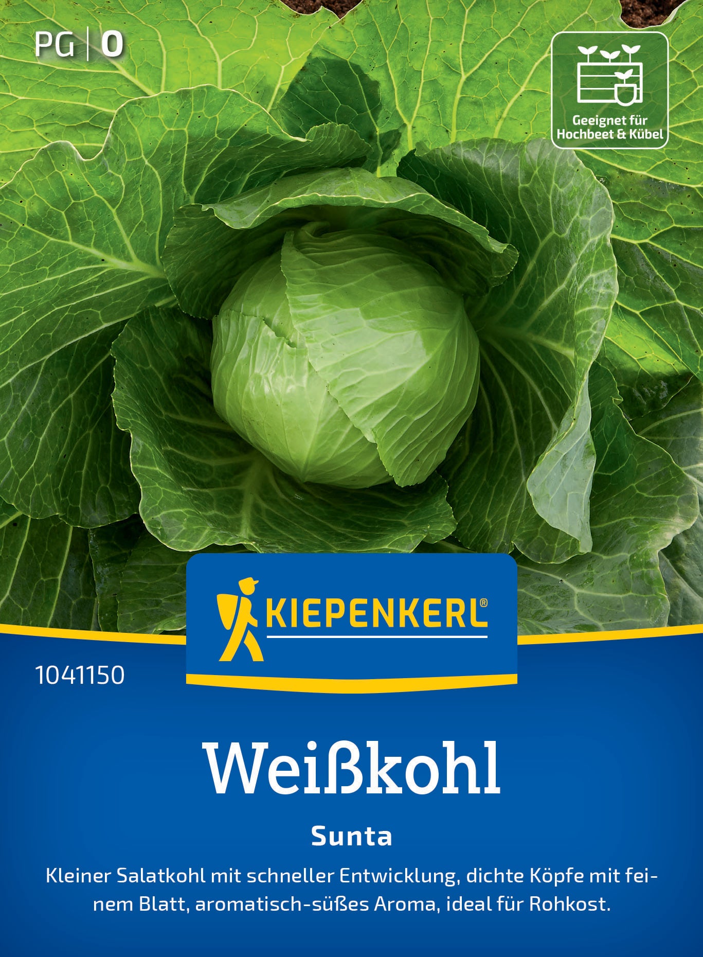Weißkohlsamen Sunta, F1