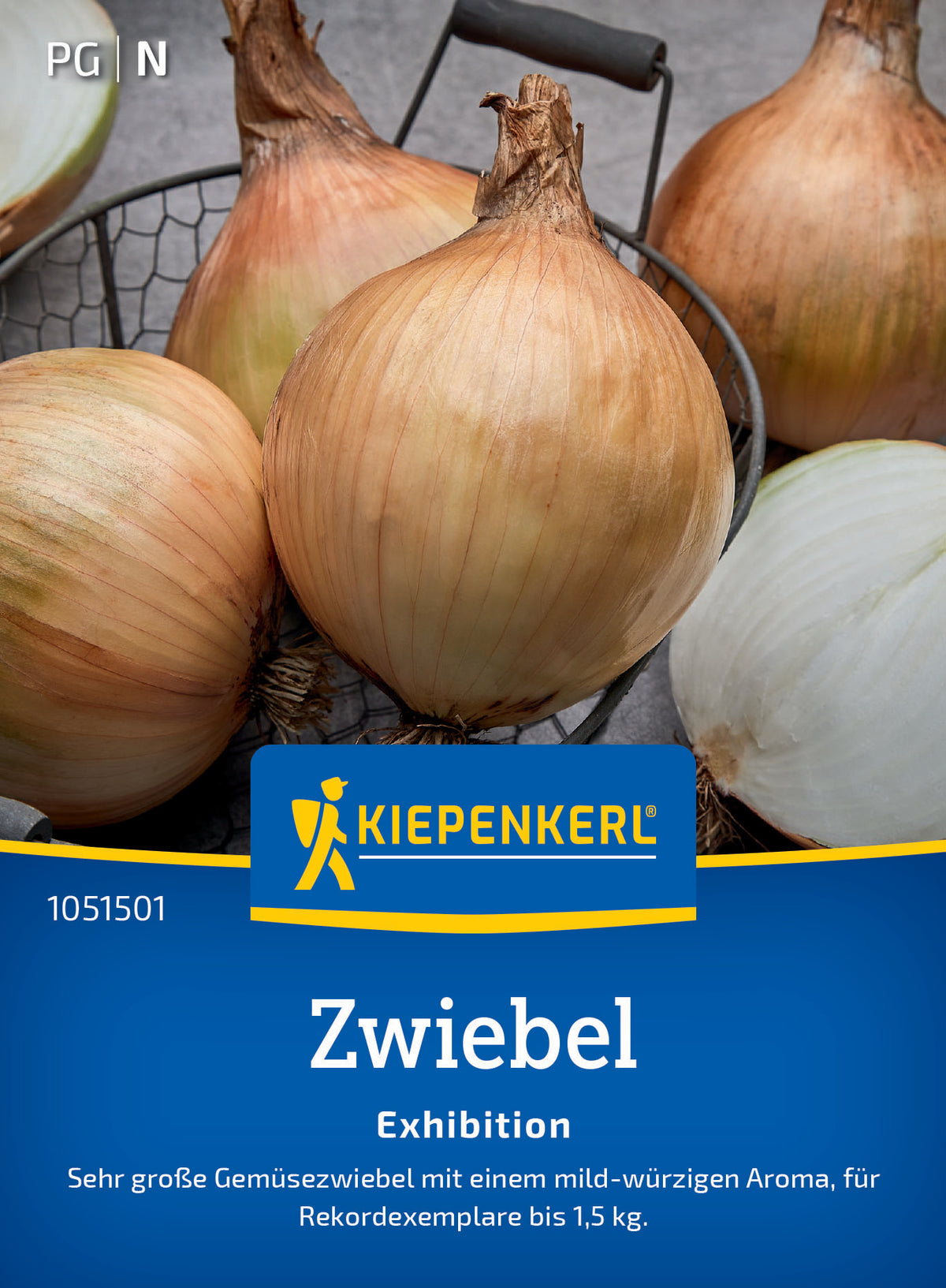 Zwiebelsamen Exhibition