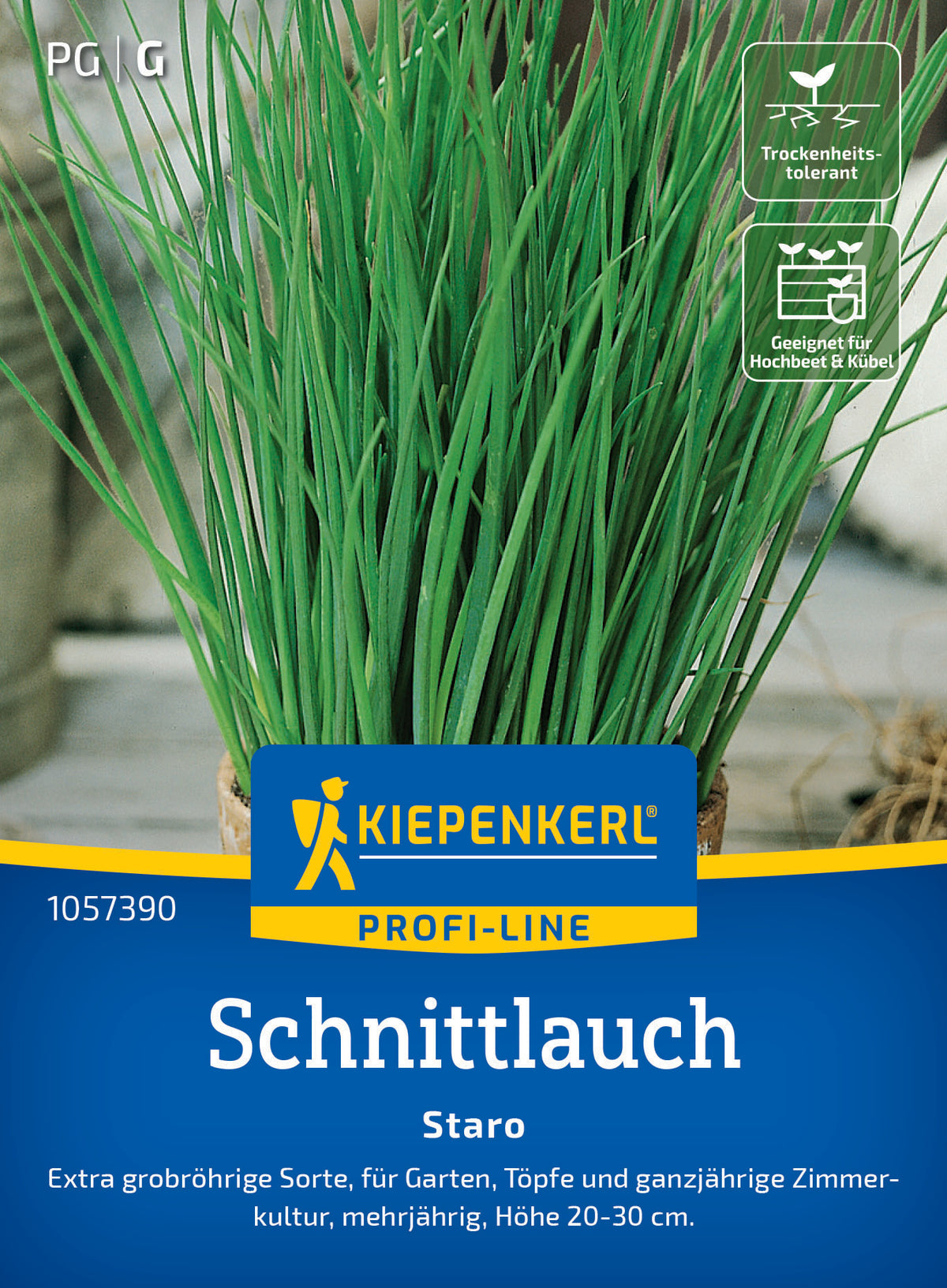 Schnittlauchsamen Staro