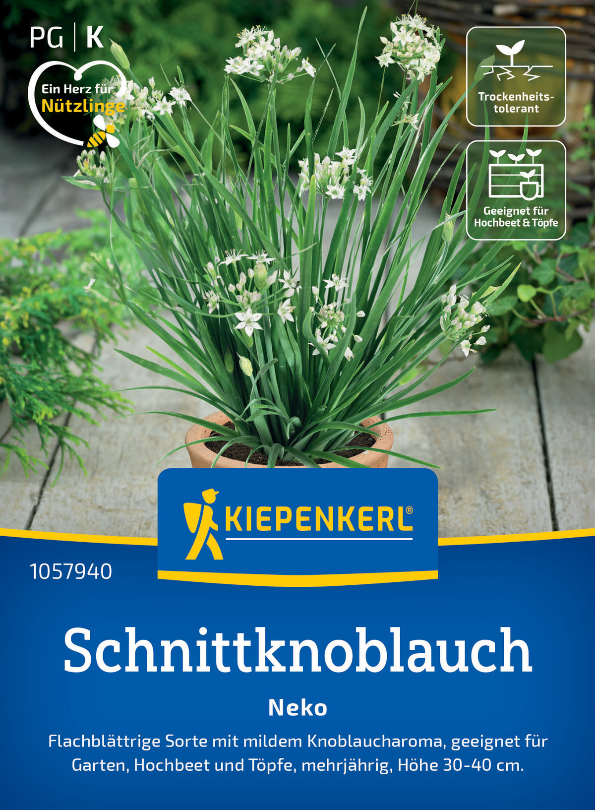 Schnittknoblauchsamen Neko