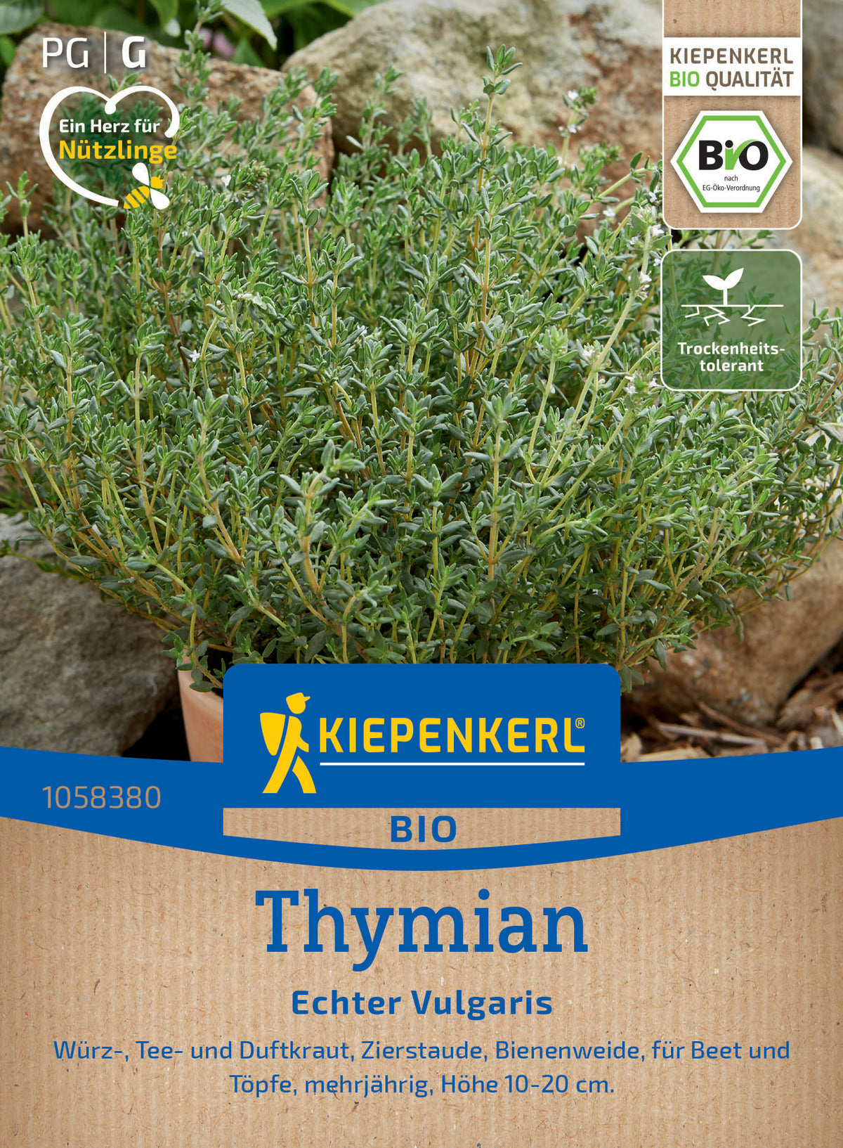 BIO Thymiansamen Echter Vulgaris