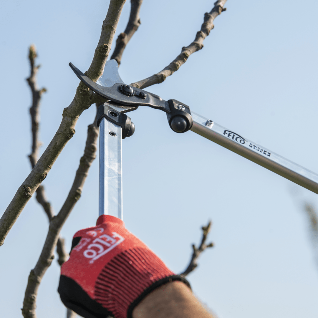 FELCO 211 - 60 Zweihand Baumschere Bypass - Schneidkopf - SHW - FIRE