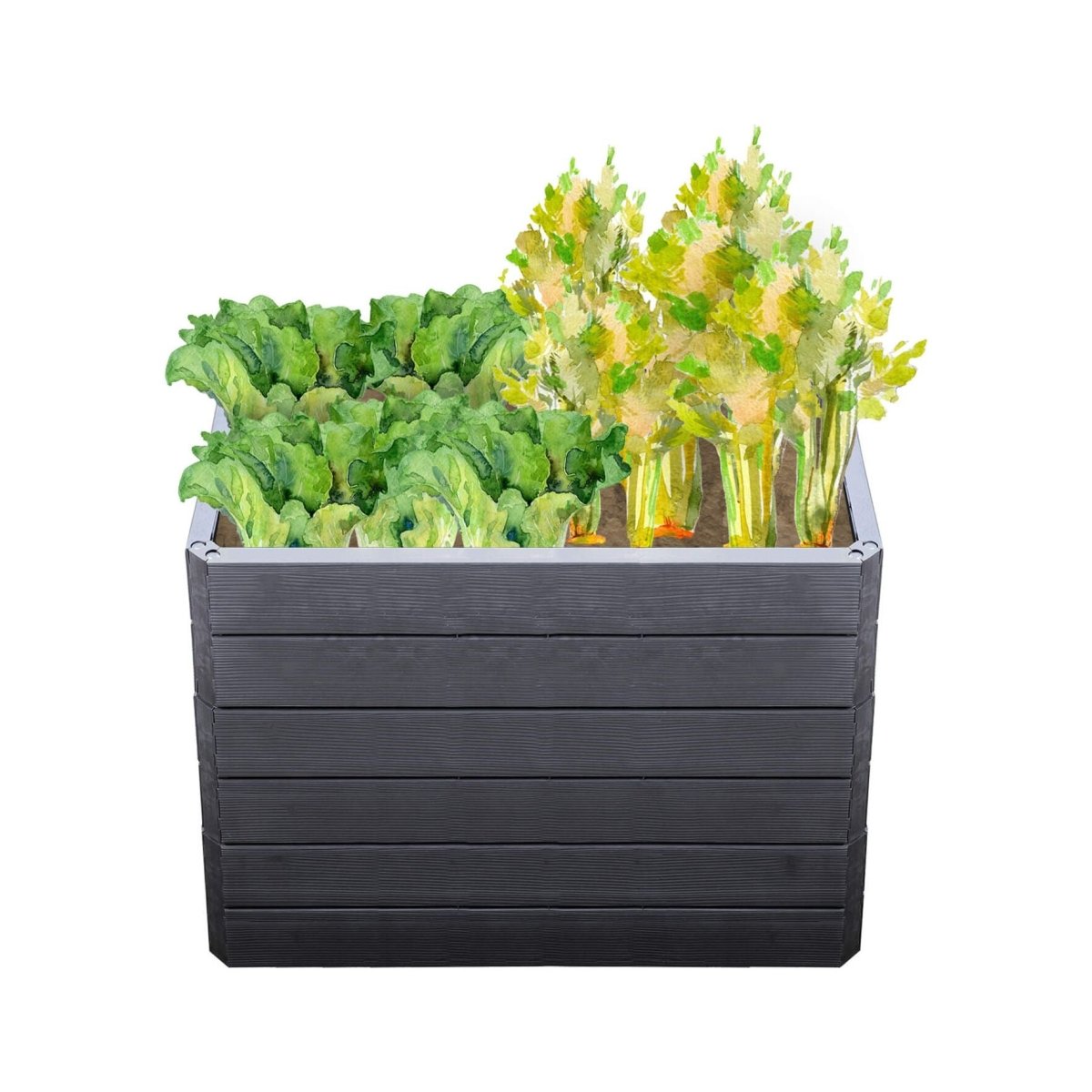 GARANTIA Hochbeet mit Wassersparsystem - Wood - SHW - FIRE