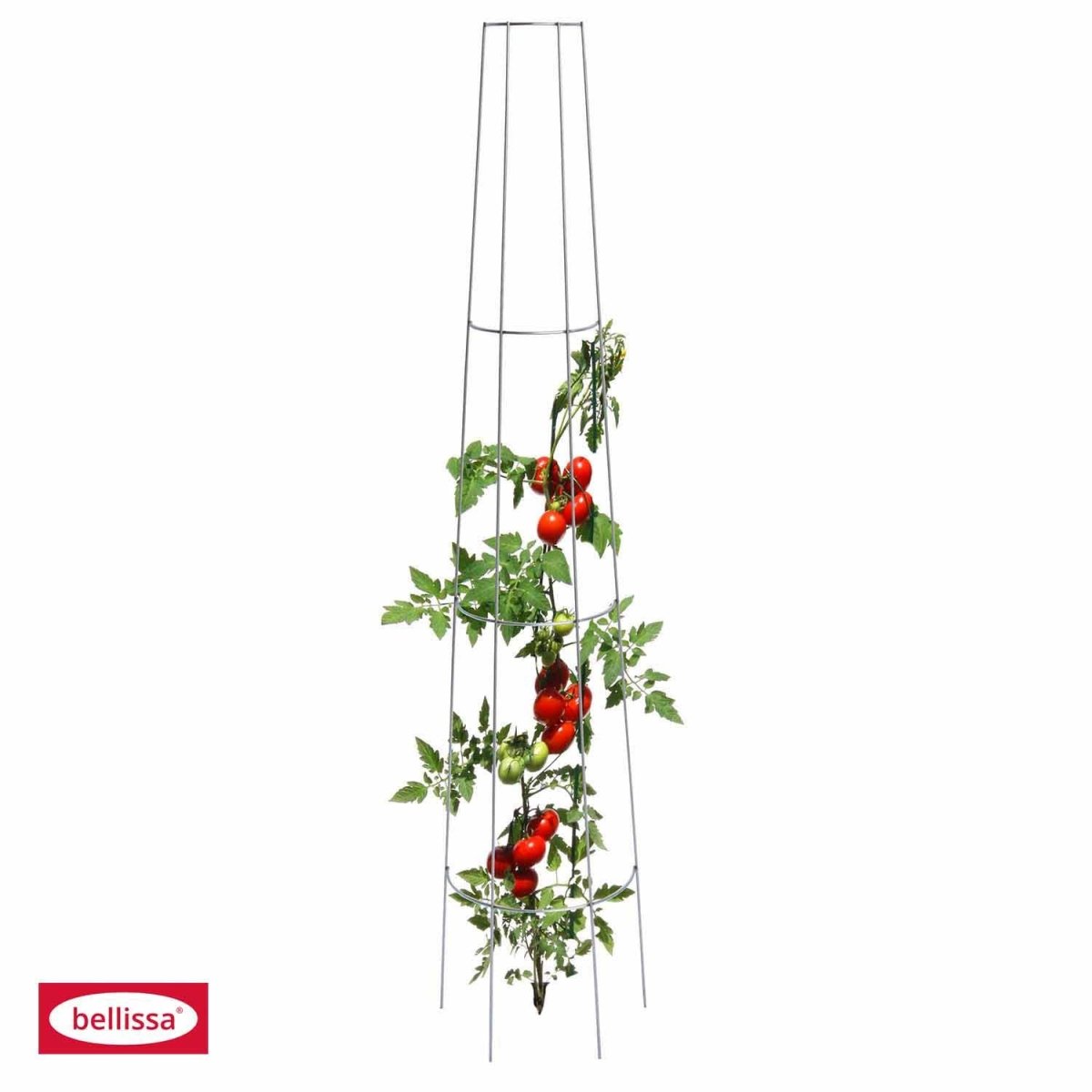 Bellissa Tomatenrankgitter, rund, H 135 cm - SHW - FIRE