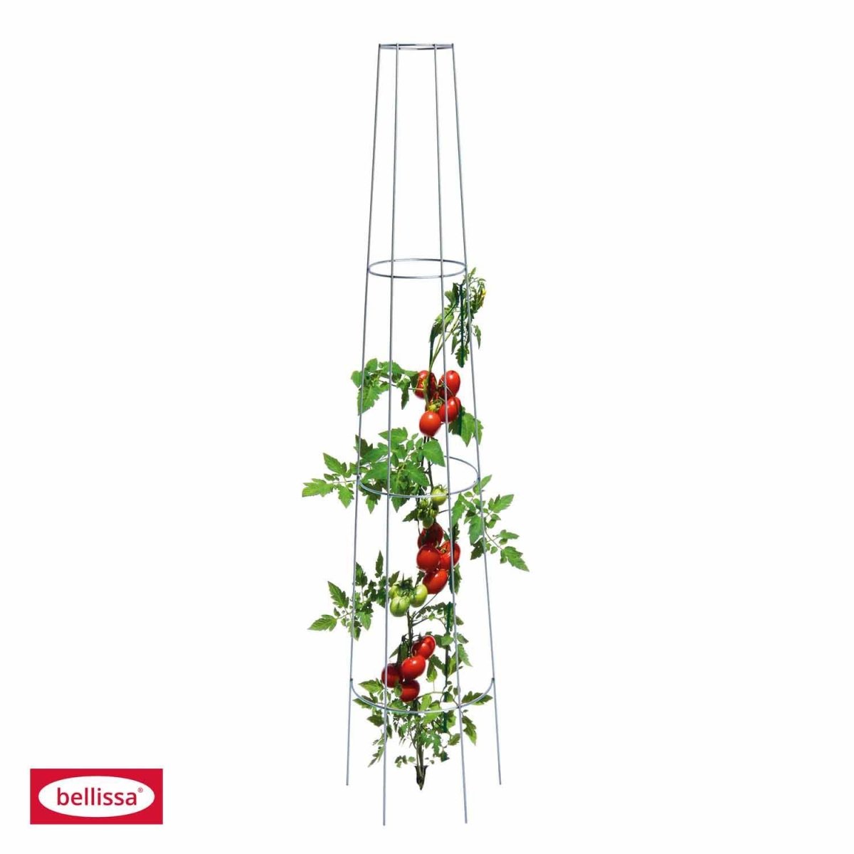 Bellissa Tomatenrankgitter, rund, H 135 cm - SHW - FIRE