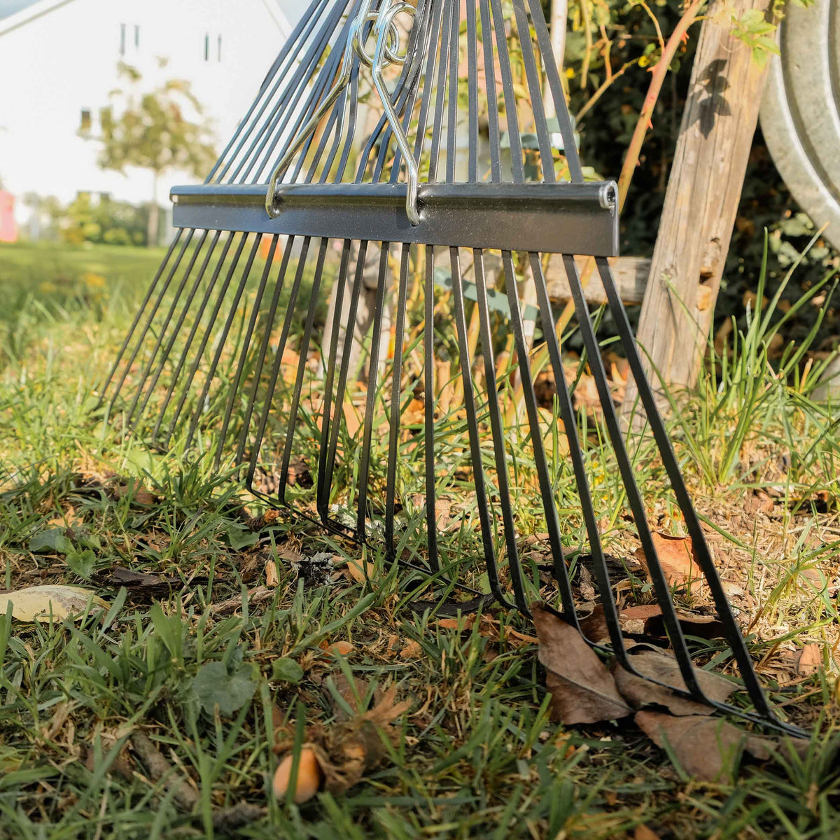 Detailansicht der flexiblen Metallzinken des SHW Laubbesens Profi auf dem Rasen beim Zusammenrechen von trockenem Herbstlaub.