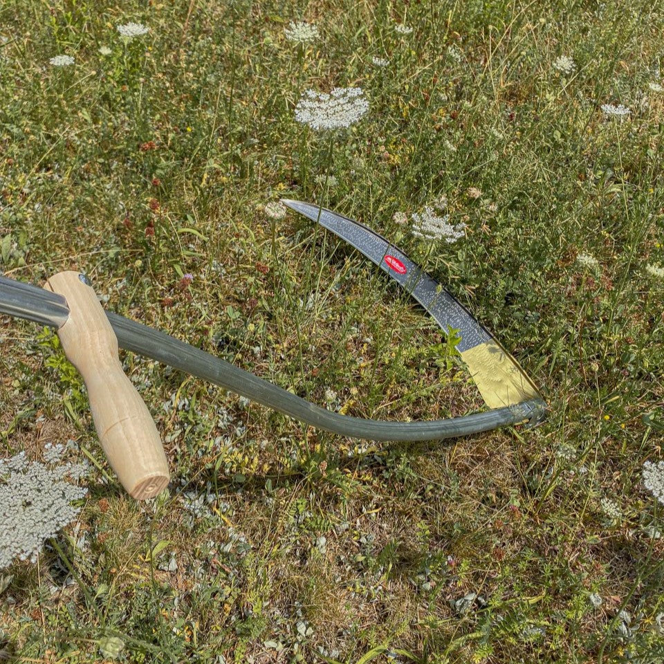 Nahaufnahme des gebogenen Sensenblatts der SHW Sense Friedrichstal mit Stahlrohrworb und Holzgriff auf einer Blumenwiese. Traditionelles Gartenwerkzeug zur Wiesenmahd.