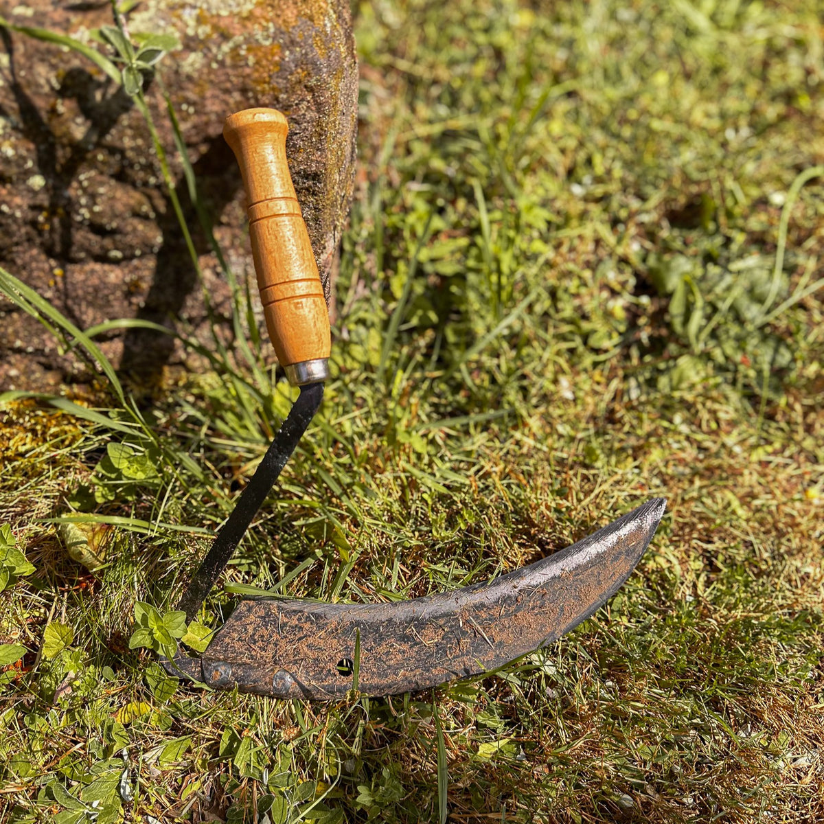 SHW Sensensichel mit gebogenem Stahlblatt und kurzem Holzgriff auf einer Wiese neben einer Natursteinmauer. Handsichel zum Schneiden von Gras, Wildkräutern und dichtem Bewuchs im Garten.